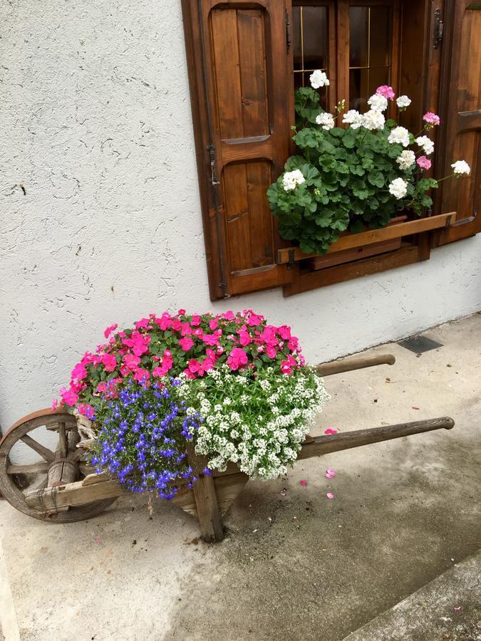 Albergo Meuble Tarandan Форни ди Сопра Екстериор снимка
